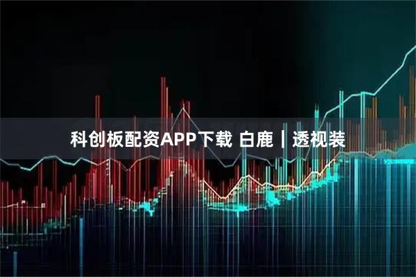 科创板配资APP下载 白鹿｜透视装