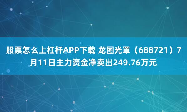 股票怎么上杠杆APP下载 龙图光罩（688721）7月11日主力资金净卖出249.76万元